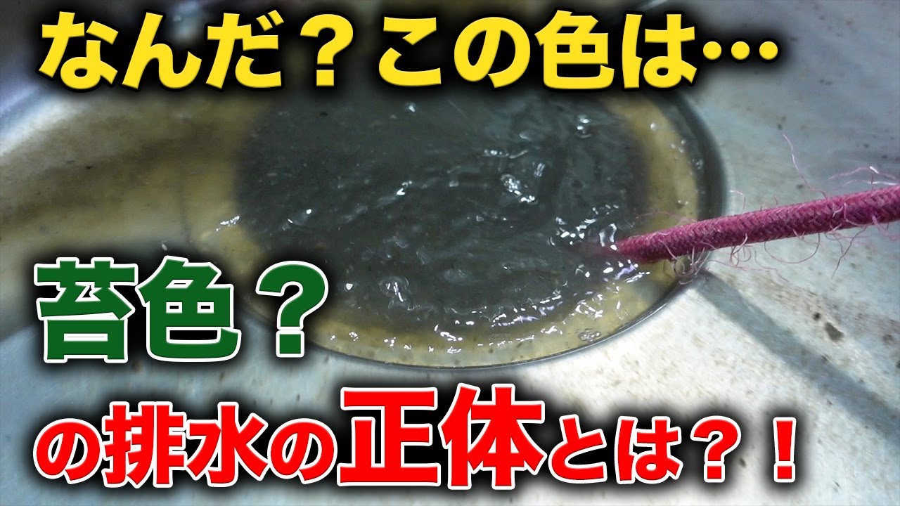 なんだこの色！緑色の排水！？排水管の中には何が？？【花のお掃除 #176】