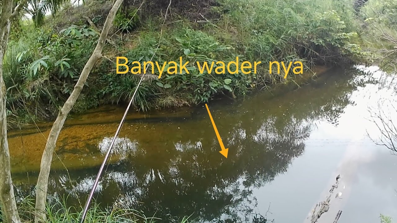 Sungai ini banyak wadernya. Dijamin ga bakalan boncos