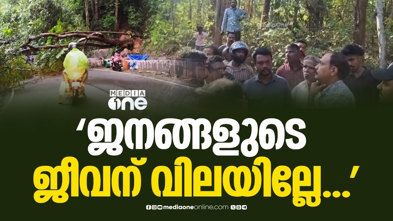 'മരംമുറിച്ച് തുടങ്ങിക്കോ സാറേ... റോഡിലൂടെ ആർക്കും നടന്ന് പോകണ്ടേ...'; റോഡ് ഉപരോധിച്ച് നാട്ടുകാർ