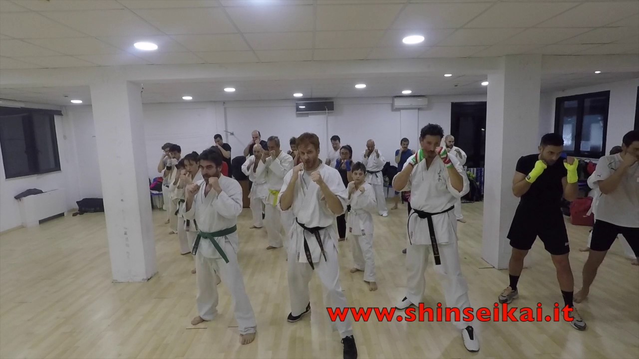 Shinseikai VideoBlog 03 - Shinseikai Trainings
