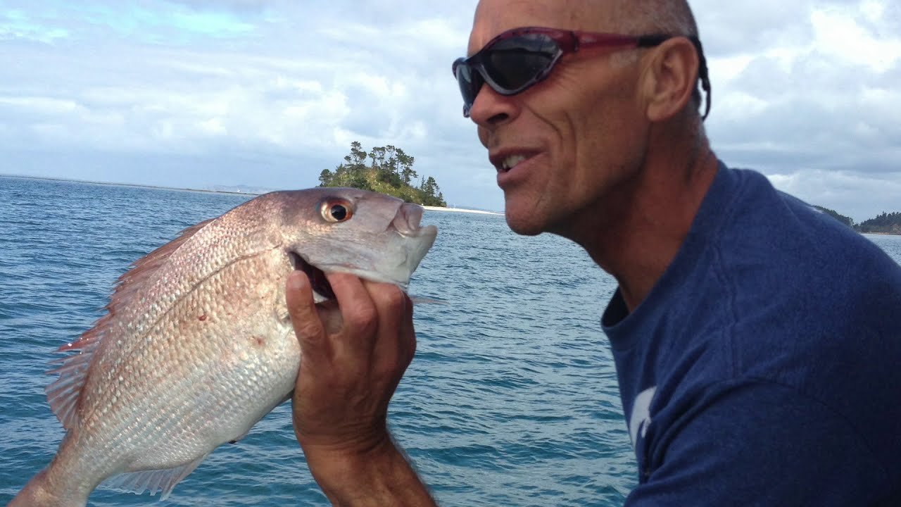 Beneteau  Oceanis 37 Cruising  Coromandel  New Zealand