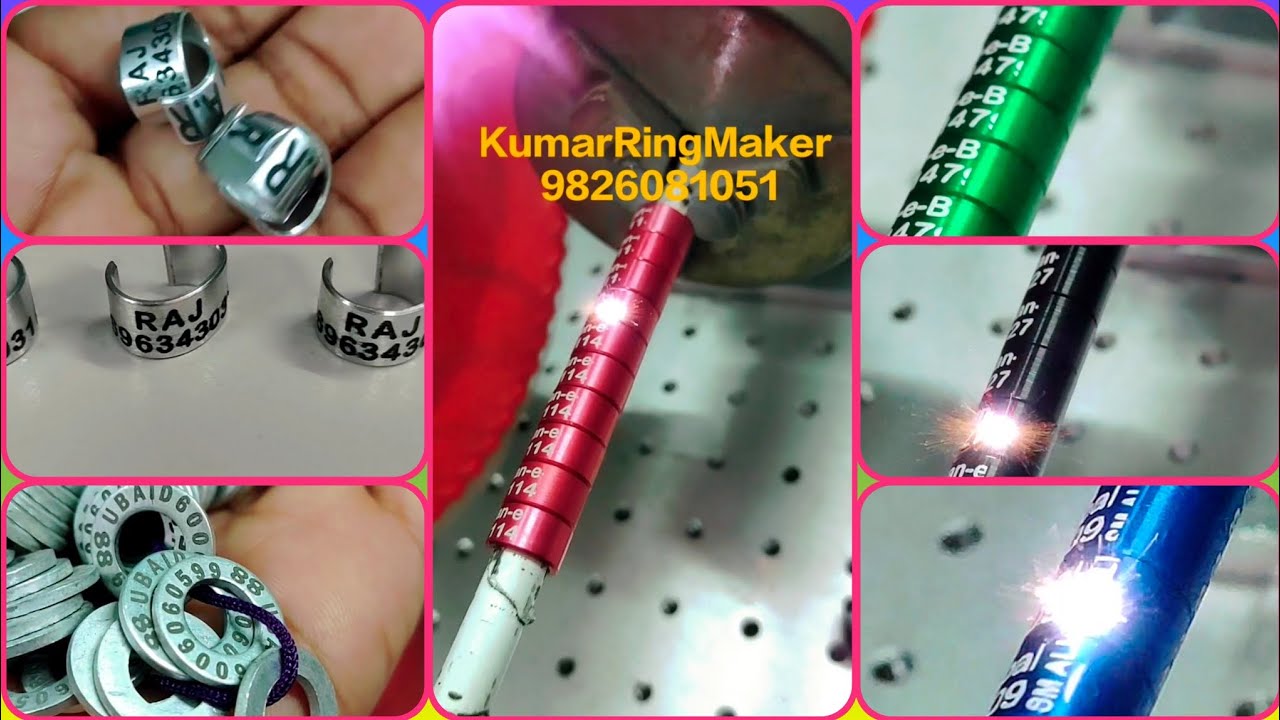 Pigeon Leg Rings with Laser Print Name Number...