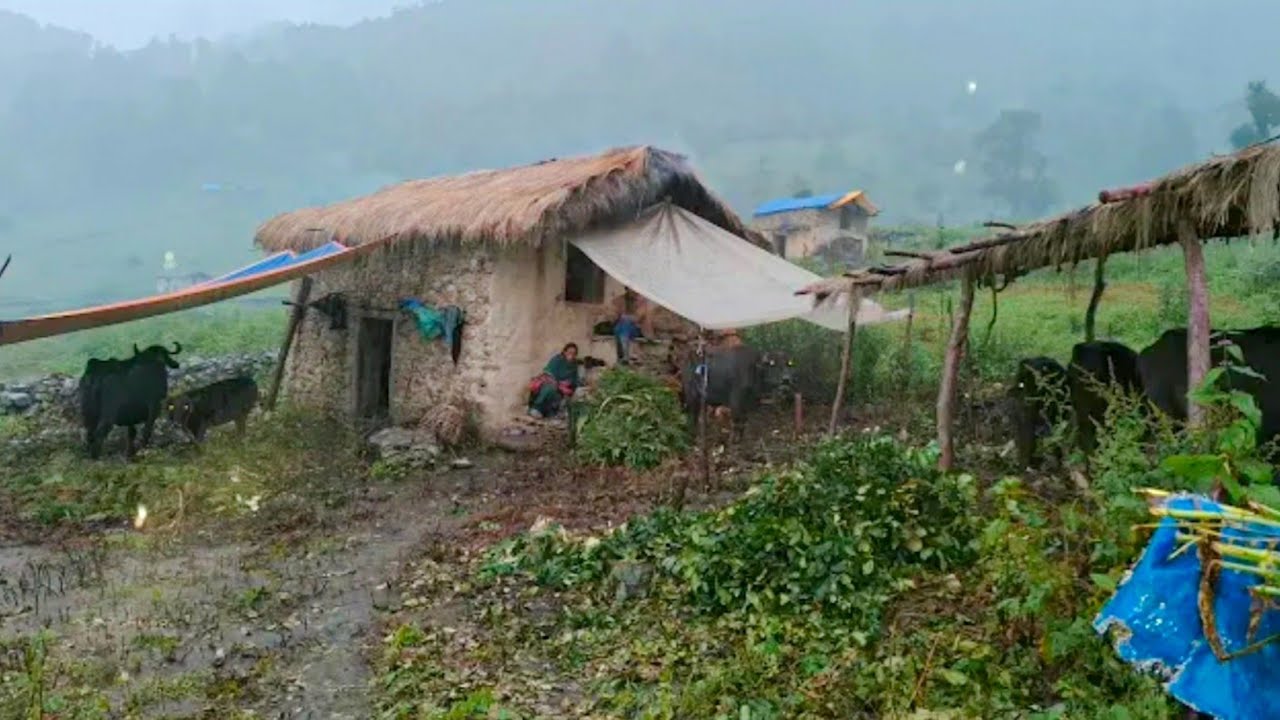 Himalayan Village life|Rainy Day|The Incredible Story oF Nepal's Last Nomads|African Village Life|