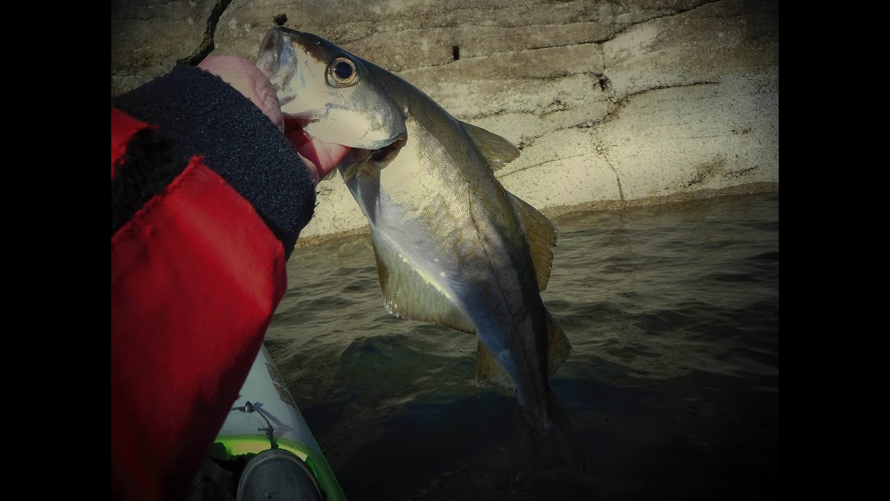 A kayak fishing adventure on Loch Fyne