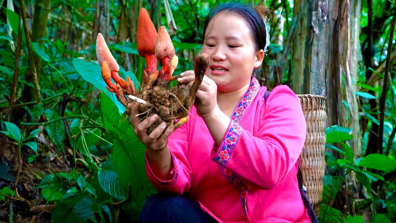 The Girl Accidentally Found a Rare Mushroom in the Forest That Has Powerful Effects on Men.