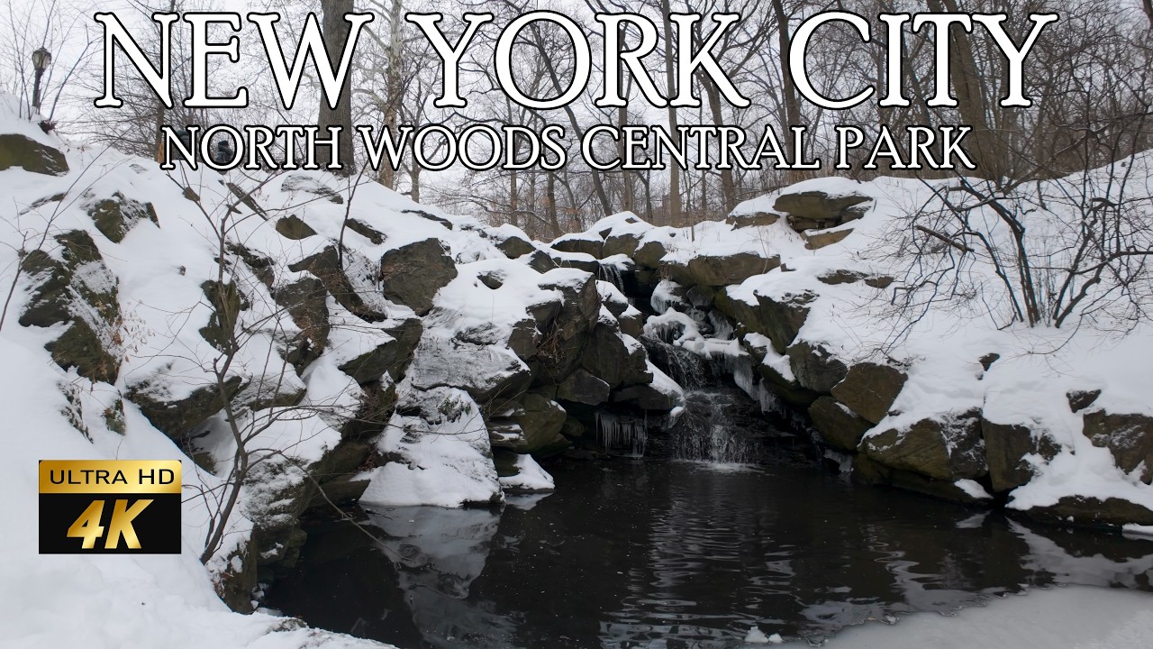Step into a real-life winter fairytale on this walking tour through the North Woods of Central Park