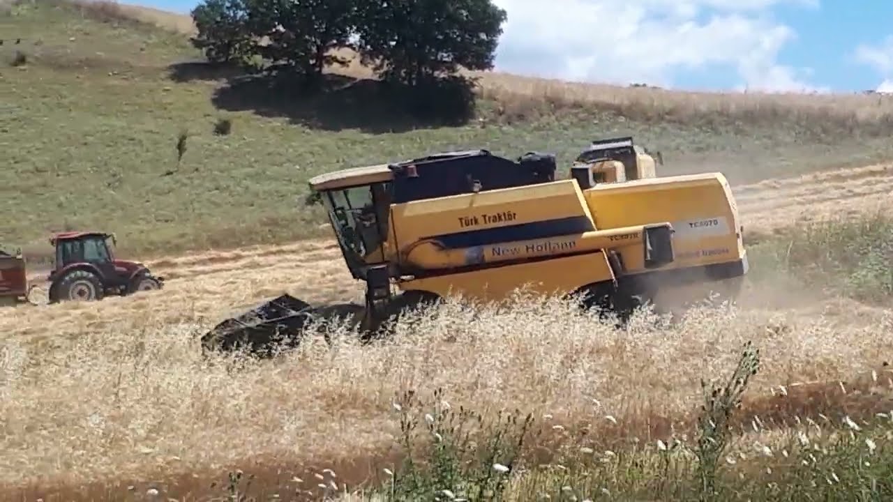 TC 50 70, TC 5.90 NEW HOLLAND BİÇERLER İŞ BAŞINDA