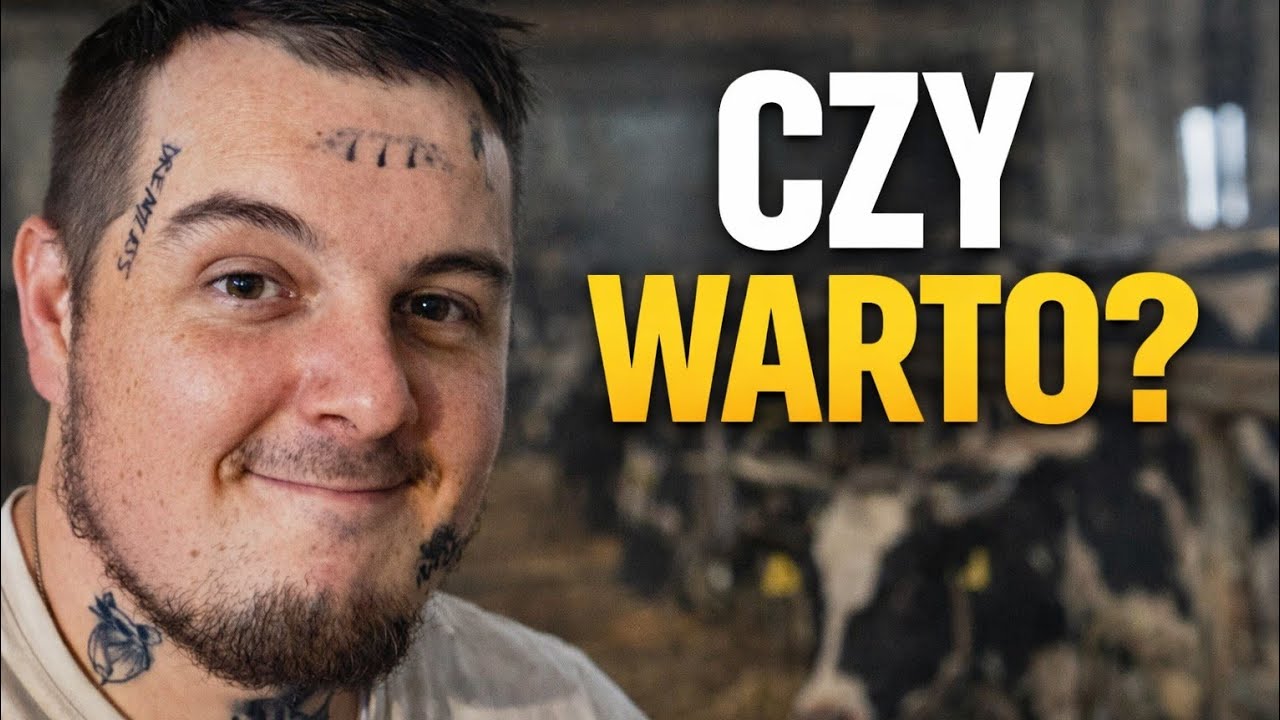 Czy warto zaczynać z bydłem mlecznym? Szczera odpowiedź 