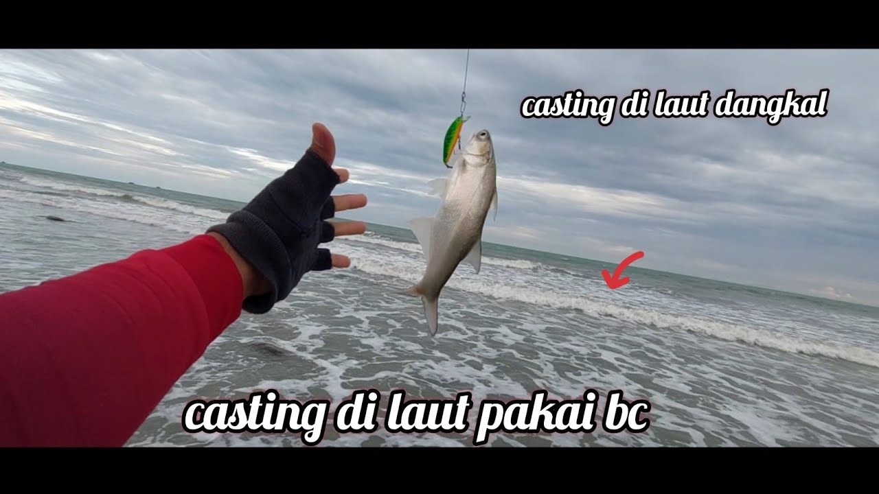 casting di laut pakai bc||casting di laut dangkal@SYAFII96