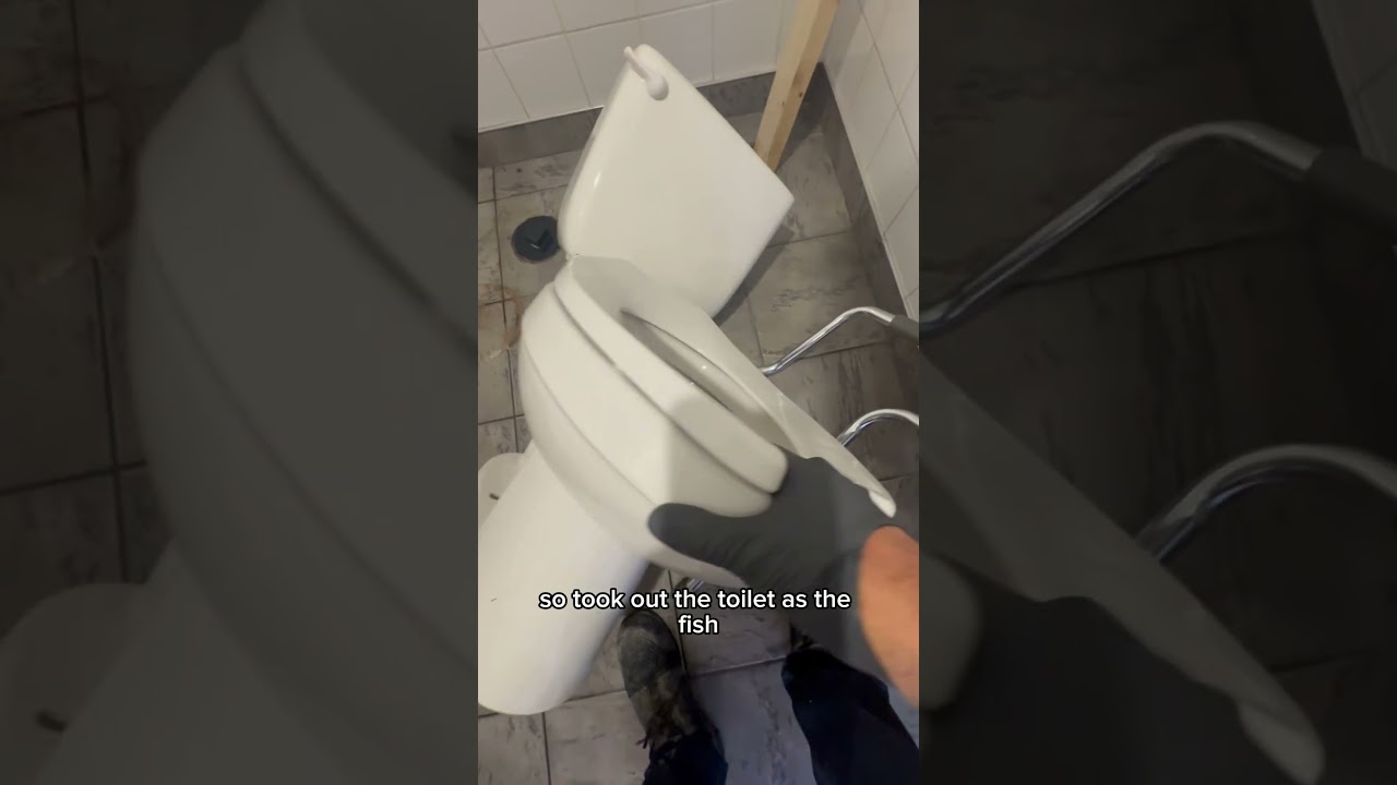 HIDDEN TREASURE FOR PLUMBERS 