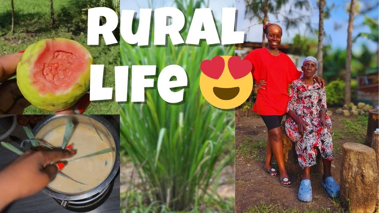 Another Day, another Village Diary | Chores, Meet my Papa, & Grandma & a Goose Showdown 🪿😅