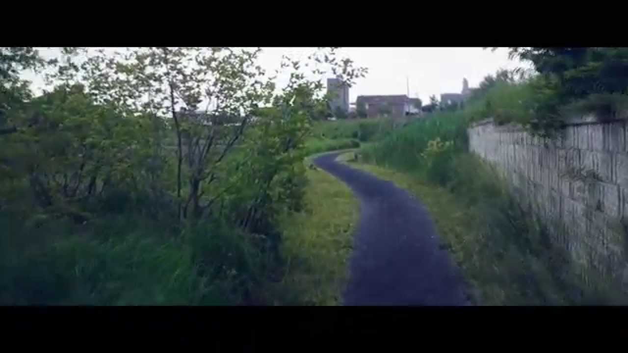 opteka steadyvid pro test shots