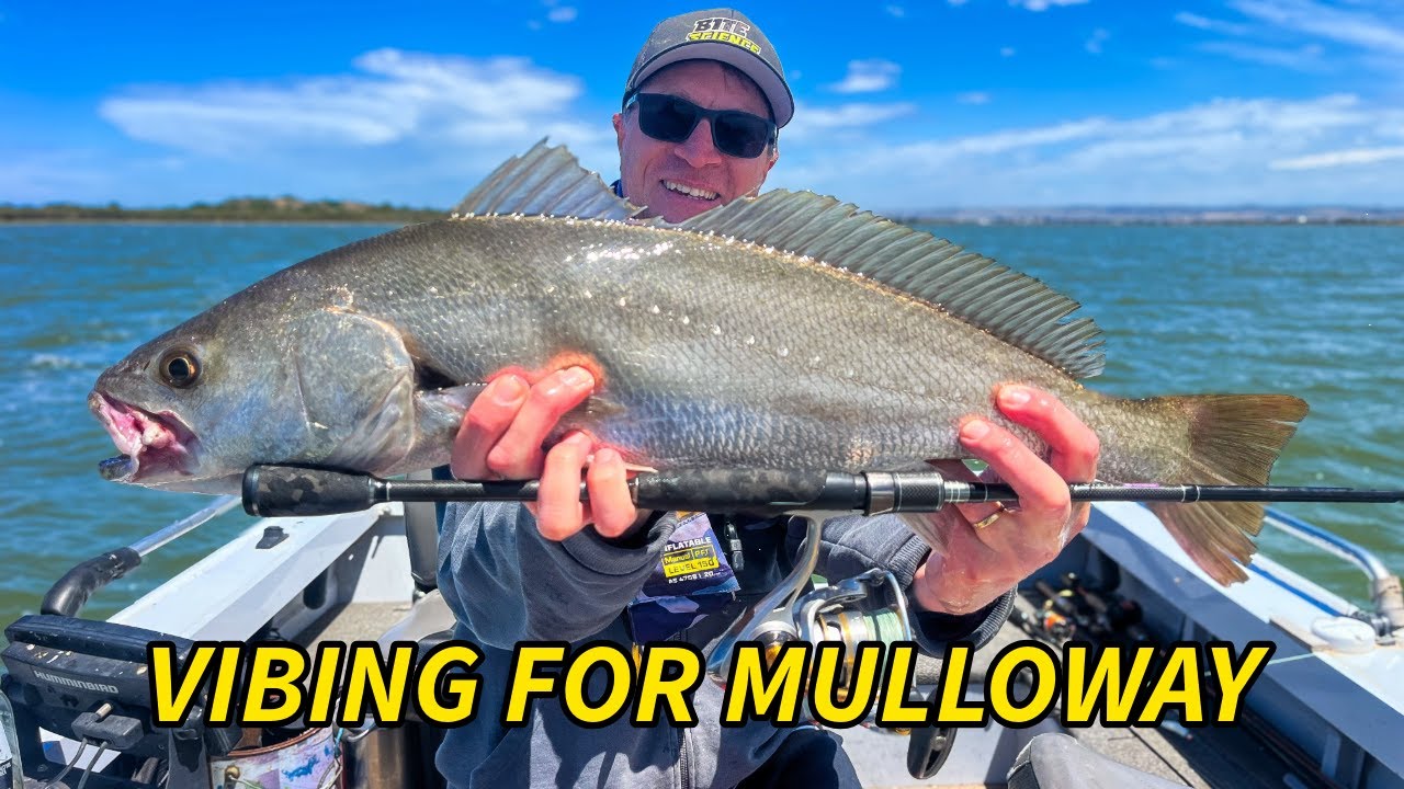Casting metal vibes for Estuary Mulloway