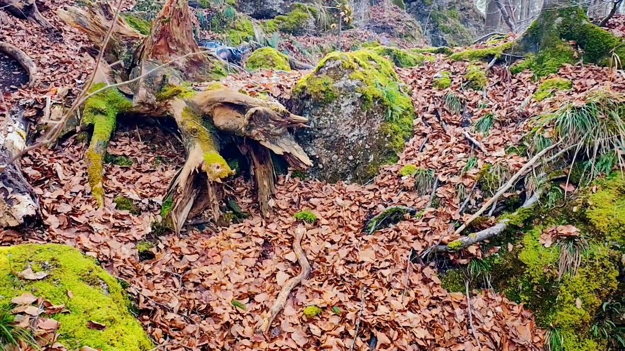 Teufelsküche 08.03.2026