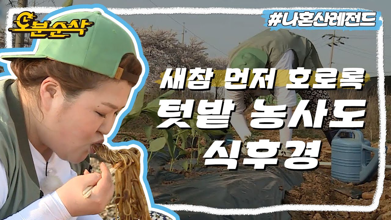 국주 텃밭 쌈채소로 가득 채우기🌱 생각만 해도 힘드니까 자장면 곱빼기 호로록!🍜| 나혼자산다⏱오분순삭 MBC160422방송