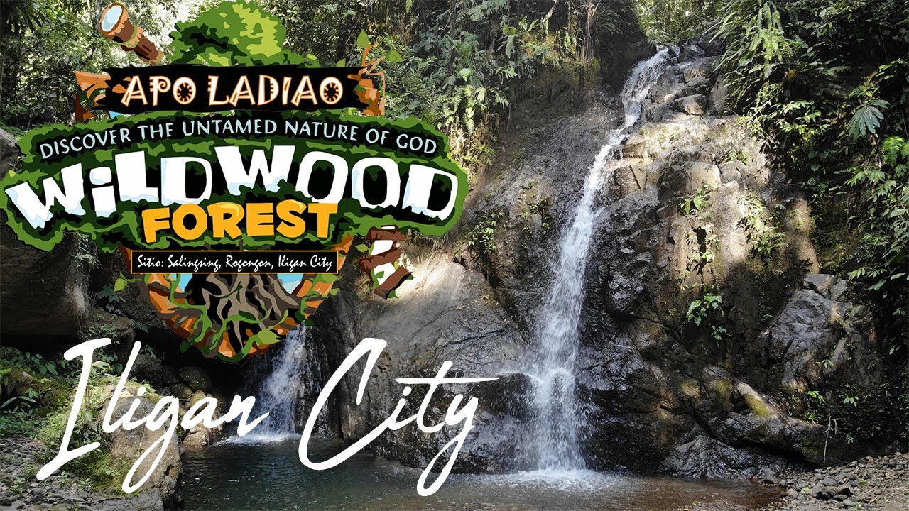 Apo Ladiao  Waterfalls Rogongon, Iligan City