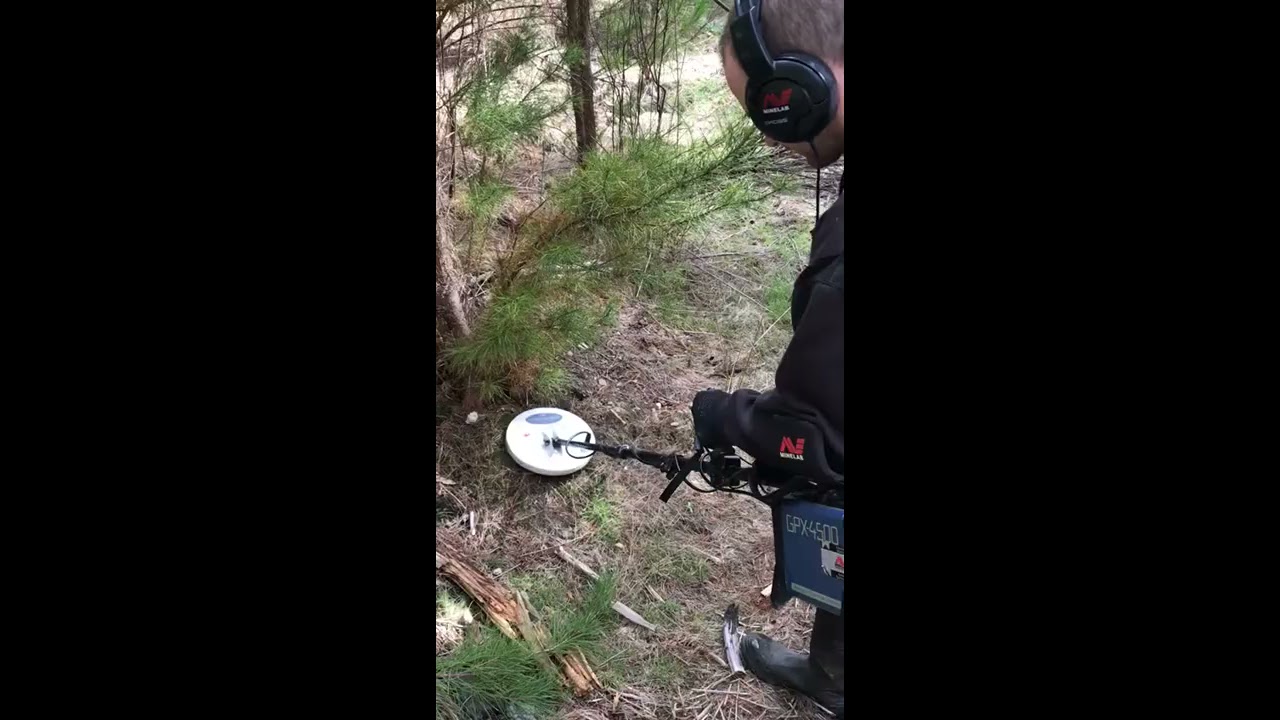 Minelab GPX4500 | Beginners luck with the GPX4500 | Victorian Gold Detecting
