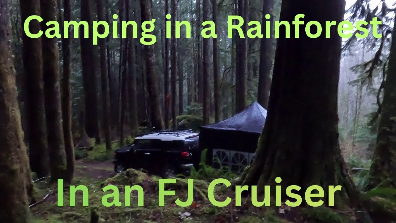 Camping overnight in a Rainforest in my FJ Cruiser