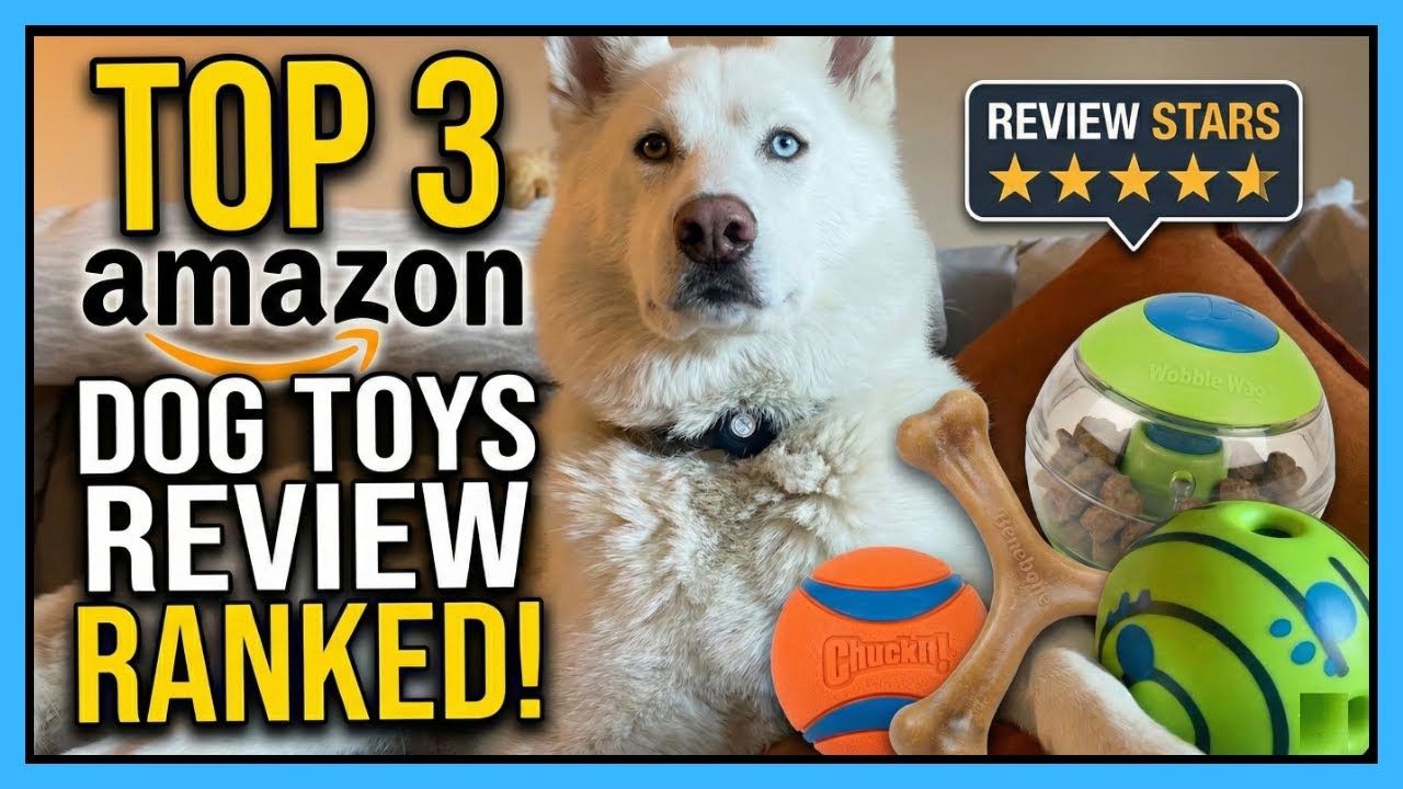 Best Amazon Dog Toys Review: Top 3 Ranked