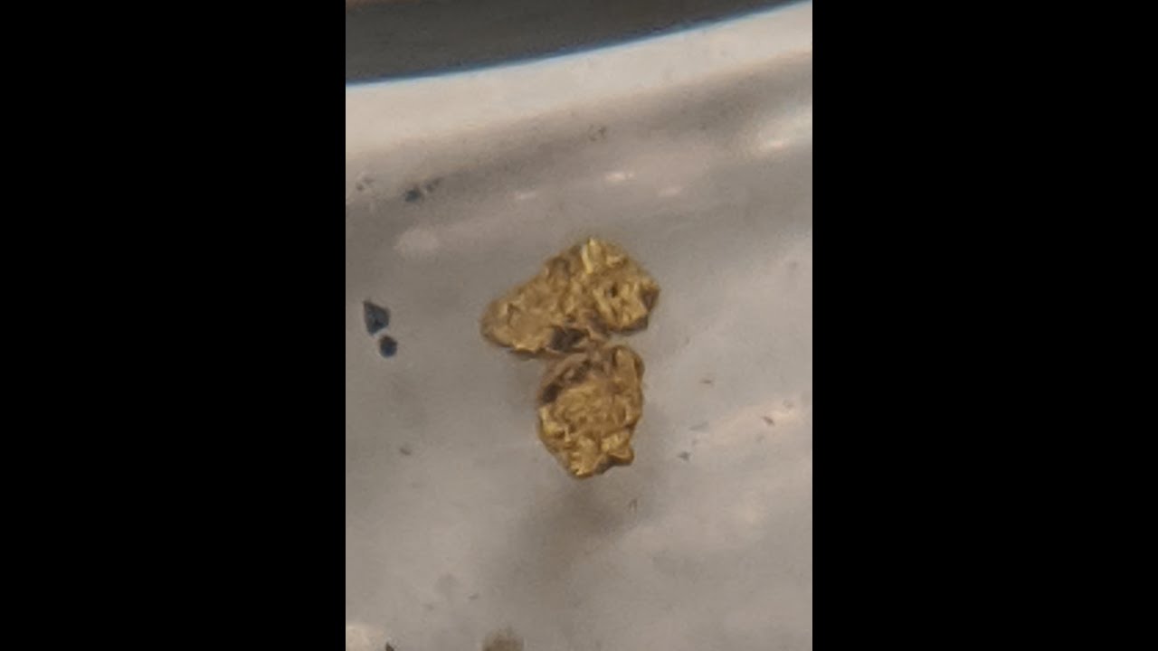 Applegate River (Oregon) Gold Panning