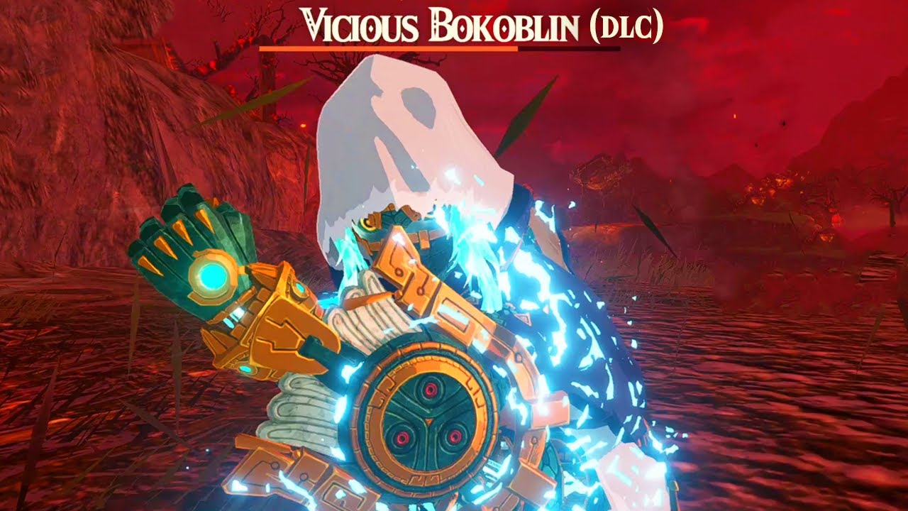 Hyrule Warriors Age of Imprisonment - 100% Walkthrough Part 49 Vicious DLC Battle South Hyrule Field