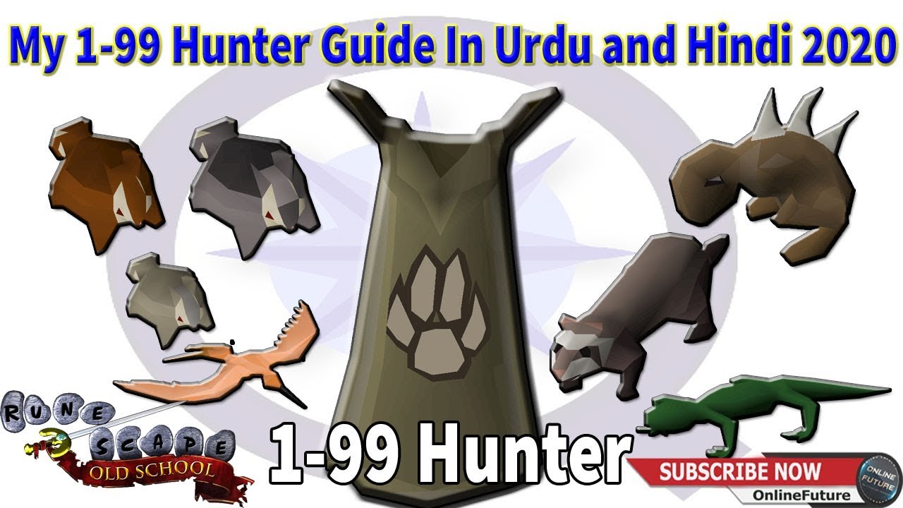 OSRS│My 1-99 Hunter Guide In Urdu and Hindi 2020
