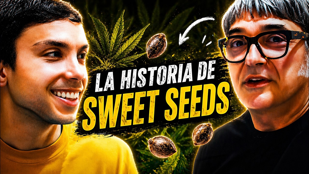 Semillas Feminizadas, Plantas Madres, Trabajar en Sector Ilegal - Fundador de Sweet Seeds&reg;