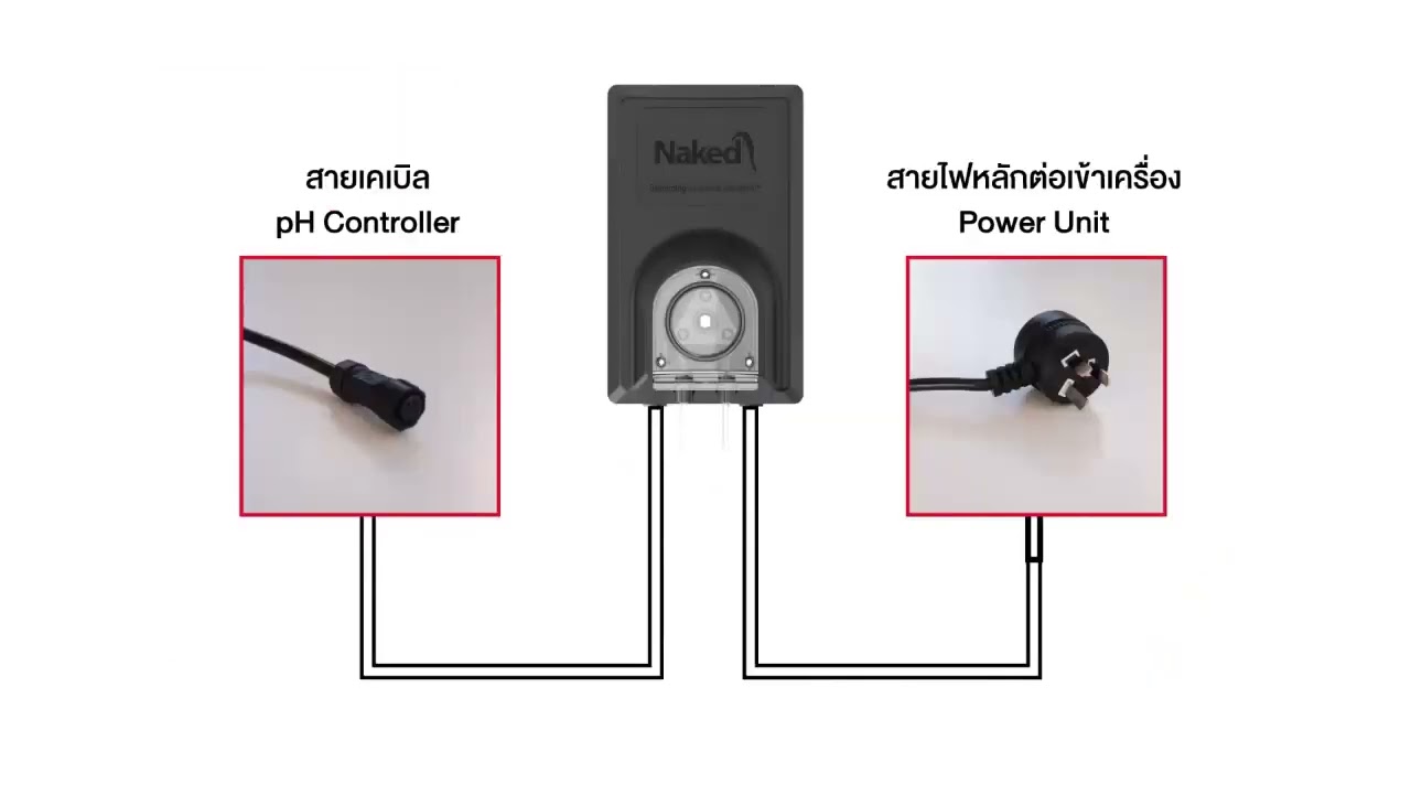 POOL&SPA - NAKED - 01 การเปิดใช้งานเครื่องครั้งแรก (2022)