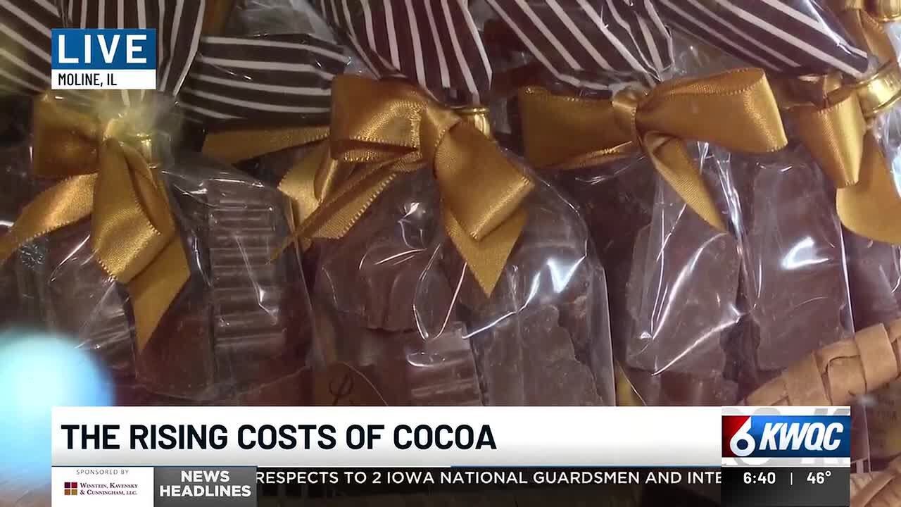 Price surge: Local chocolate shop forced to raise prices due to cocoa costs