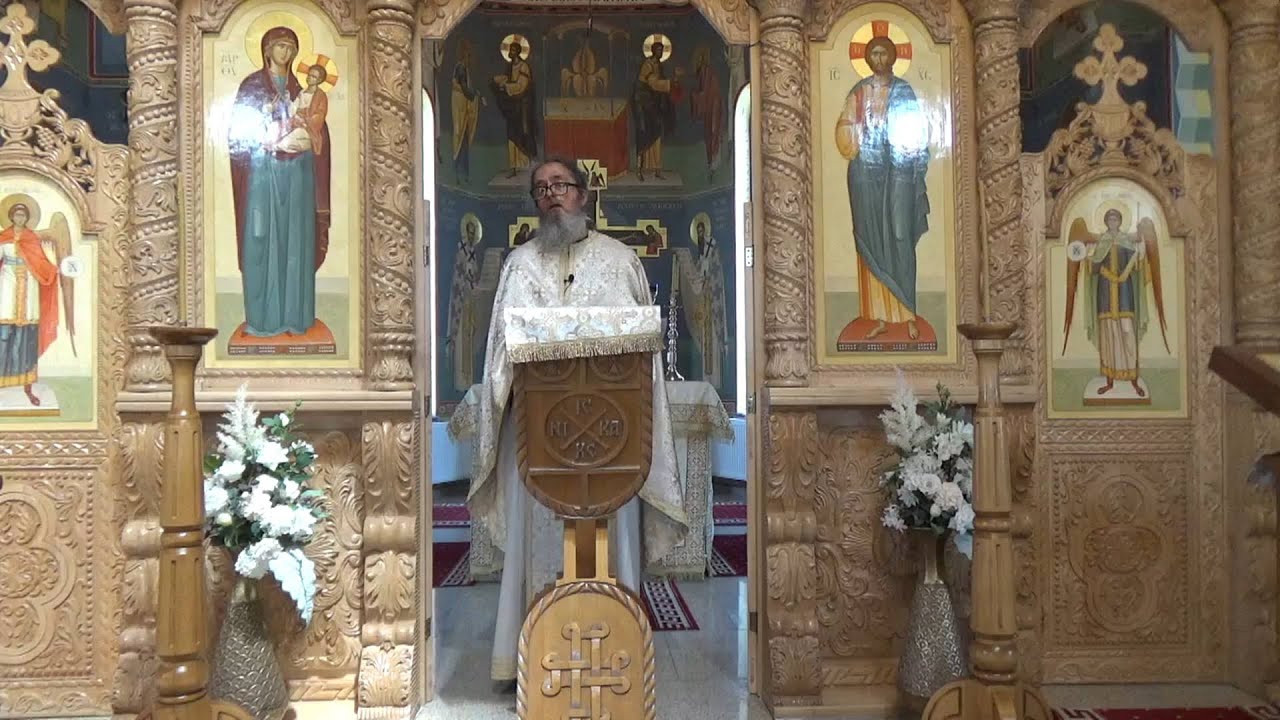 Pr. Dan Popovici – Perpetua uimire