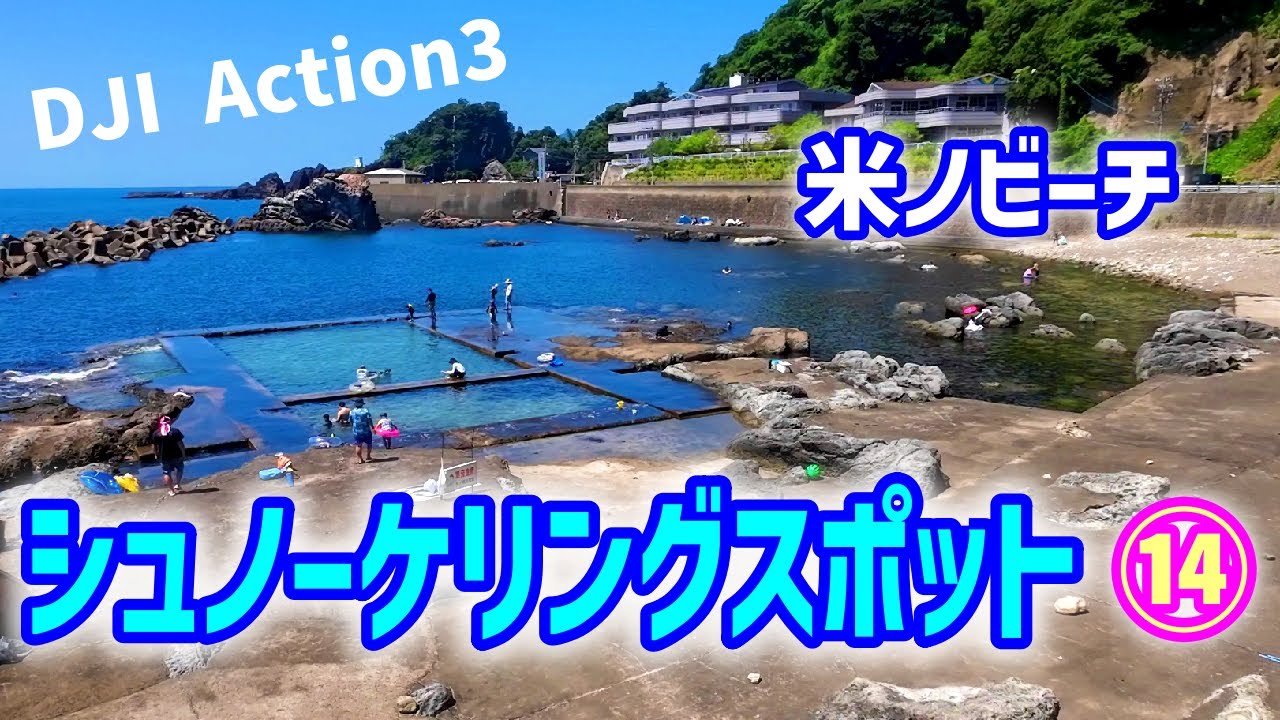 越前【米ノ海水浴場】透明度抜群！ ワカメと魚群。Snorkeling in Fukui. DJI Action3