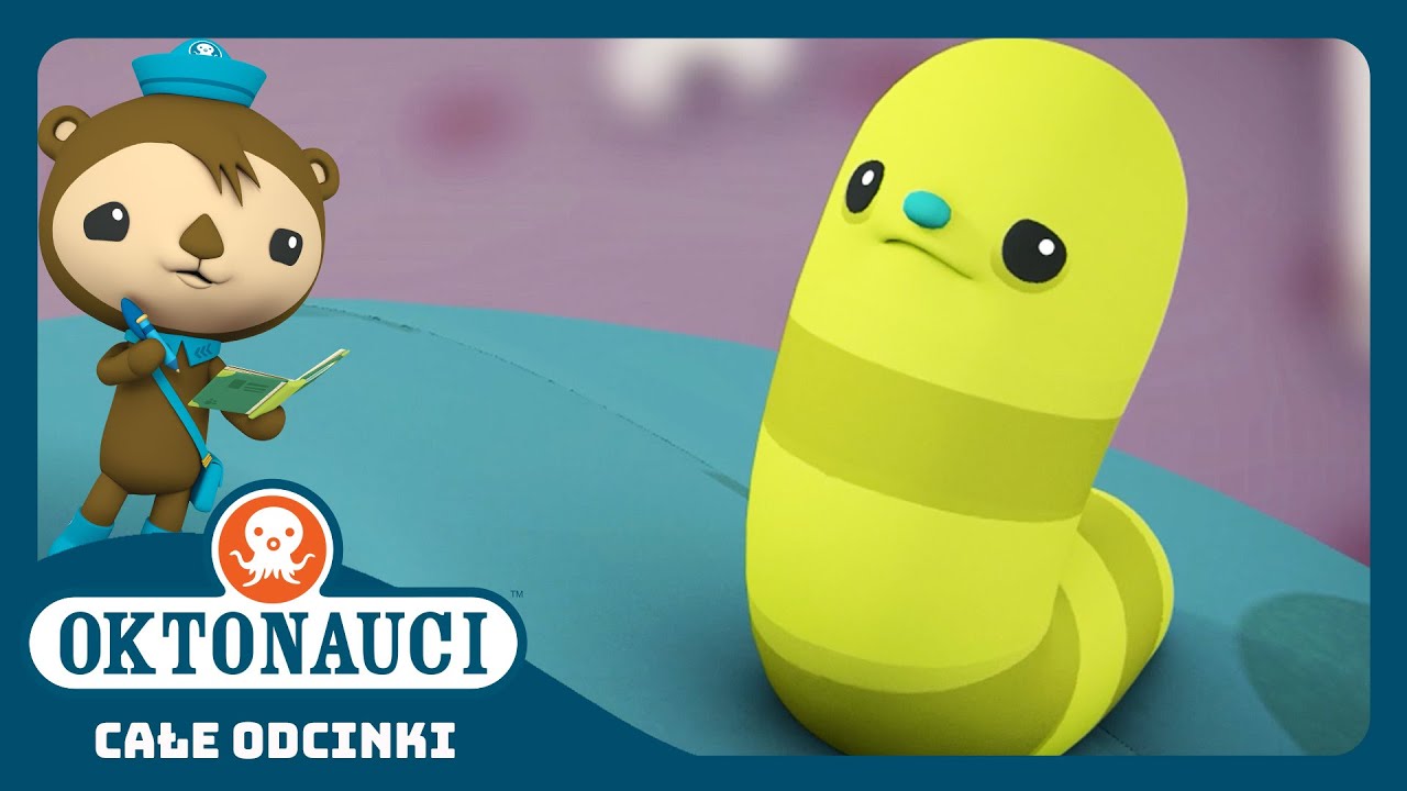 Oktonauci - ✨ Strefa Północy 🐛 | Cały odcinek 4 | Seria 1