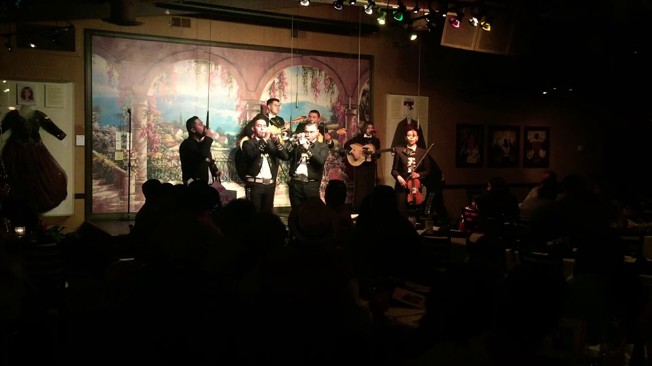 Mi Gusto Es - Mariachi Ambiente - @CielitoLindo