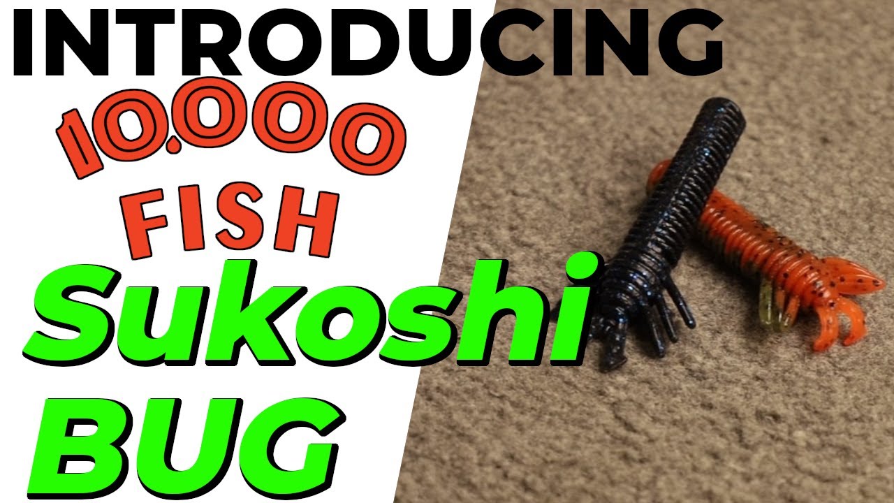 10000 Fish Sukoshi Bug | Sukoshi Bug Fishing Tips | Sukoshi Bug Bass Magnet