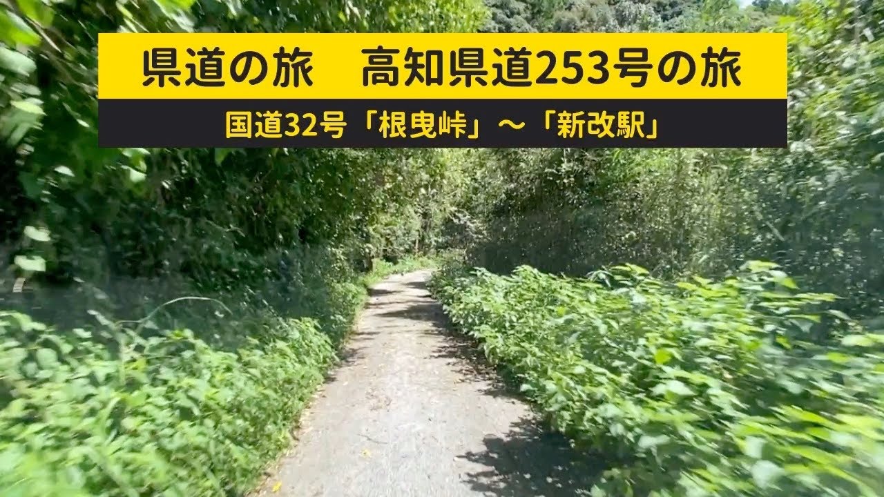 険道の旅　高知県道253号　国道32号「根曳峠」〜「新改駅」