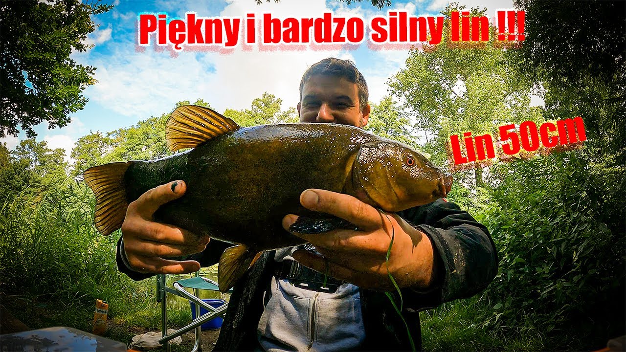 Łowienie linów na spławik | Najsilniejszy lin w tym roku | Starorzecze pokryte grążelami | Odc. 16