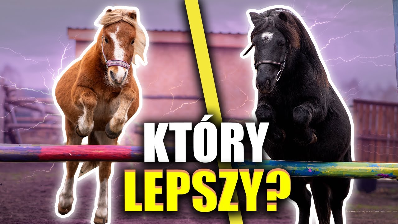 POTĘGA SKOKÓW KUCYKÓW 😍 JANEK VS KARINO