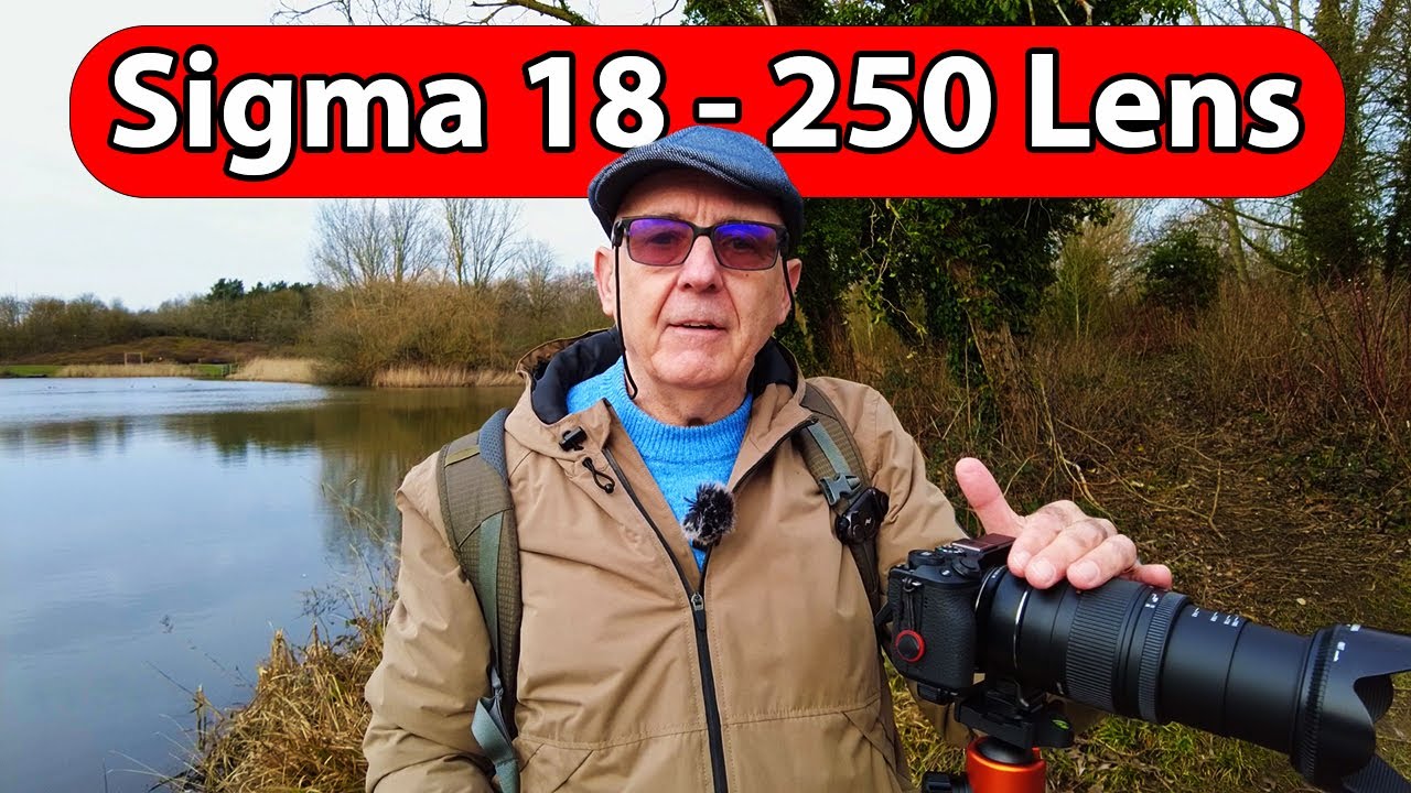 Объектив Sigma 18-250 EF-S | Canon M6 Mark II (Отличный!)