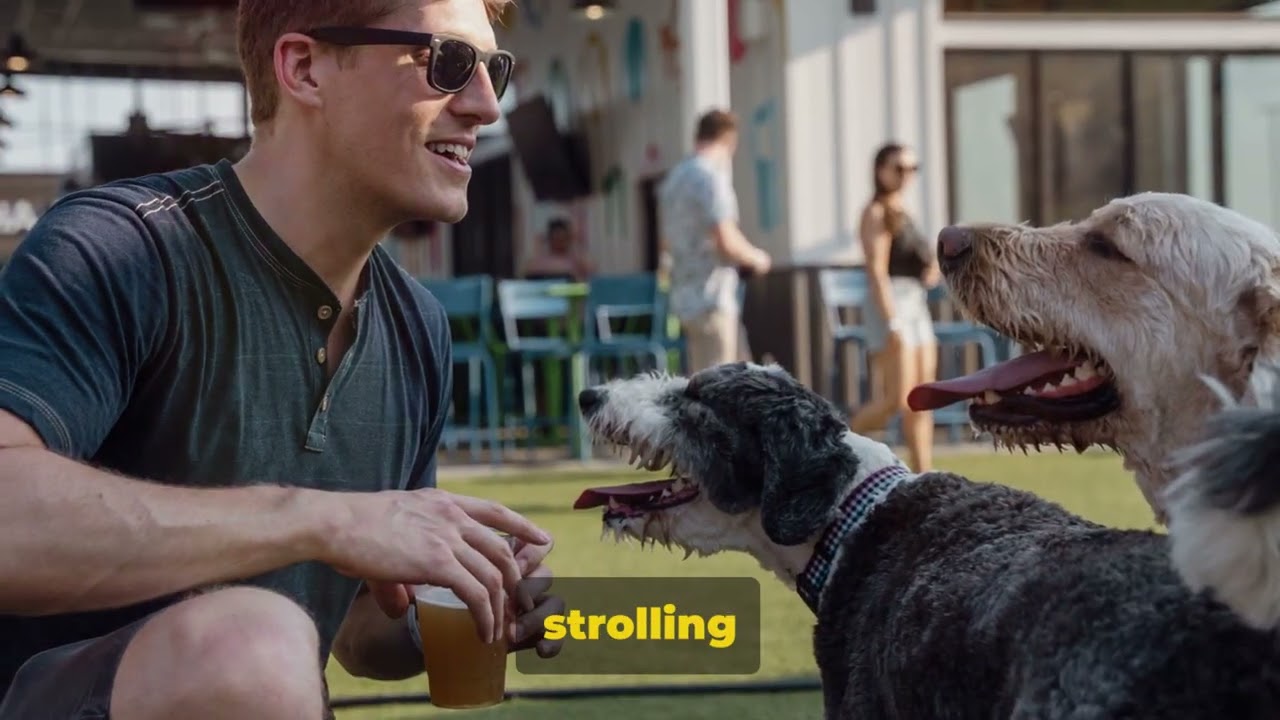 Top 5 Dog Friendly Cities