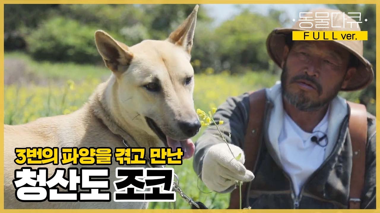 [풀버전] 여유롭고 고요하던 기윤 씨 삶에 활력을 불어넣어준 강아지 조코!🐶 | 동물극장 단짝 EP16 | KBS 220514 방송
