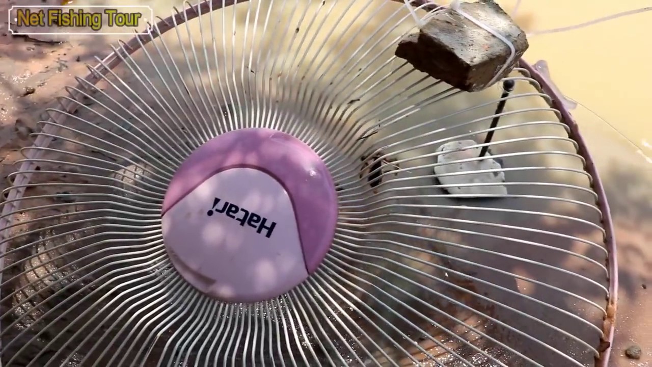 Three Boys Catch Frogs Using Electric Fan Guard Fish Trap