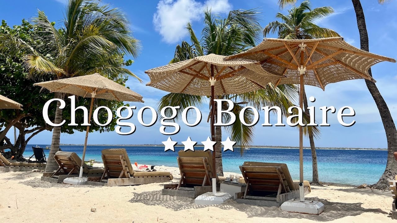 Chogogo Dive & Beach Resort, Resort Overview - Bonaire