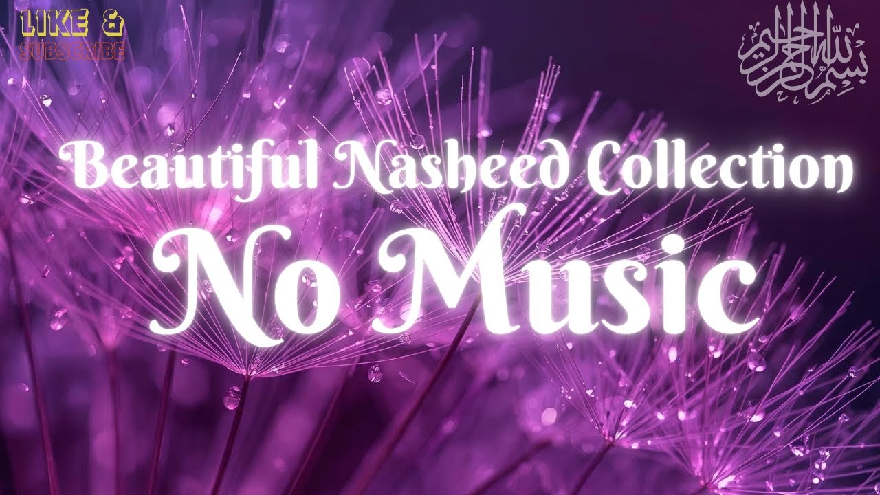Beautiful Nasheed Collection No Music | Return to Allah After Lost Path | Ya Allah Touch Heart Now!!