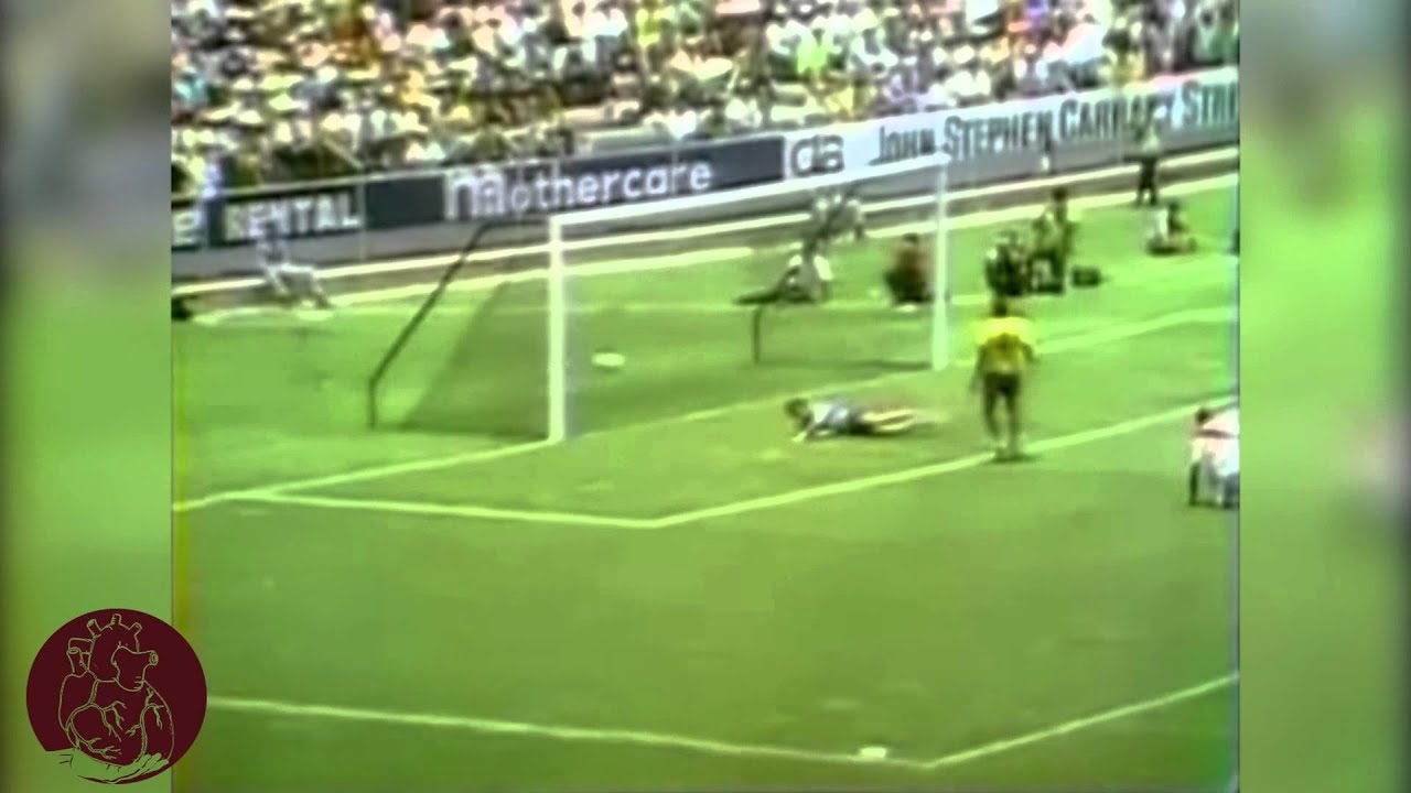EAQLLD | Los 5 mejores goles de Te&oacute;filo 