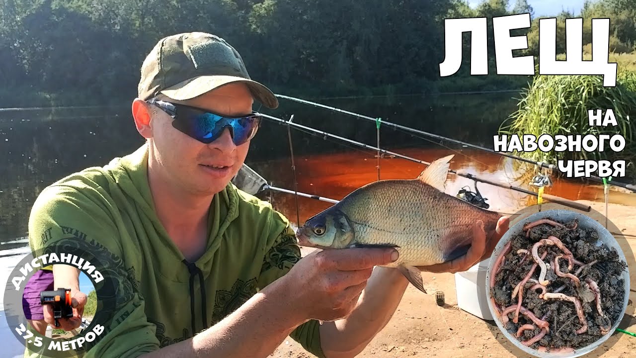 ЖИРНЫЙ ЧЕРВЬ - УСПЕХ В ЛОВЛЕ ЛЕЩА