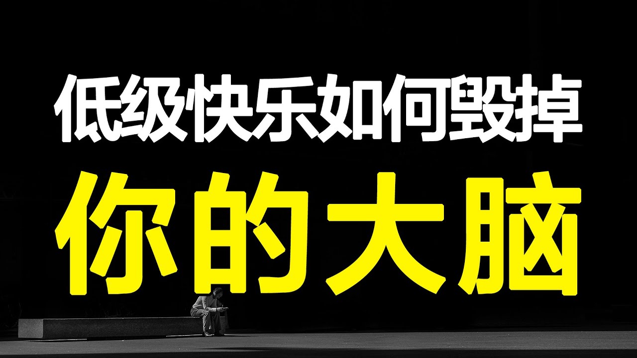 低级快乐如何夺走你的专注力&思考力？亲测4个方法，打造大神级深度思考力&超强专注力！【心河摆渡】