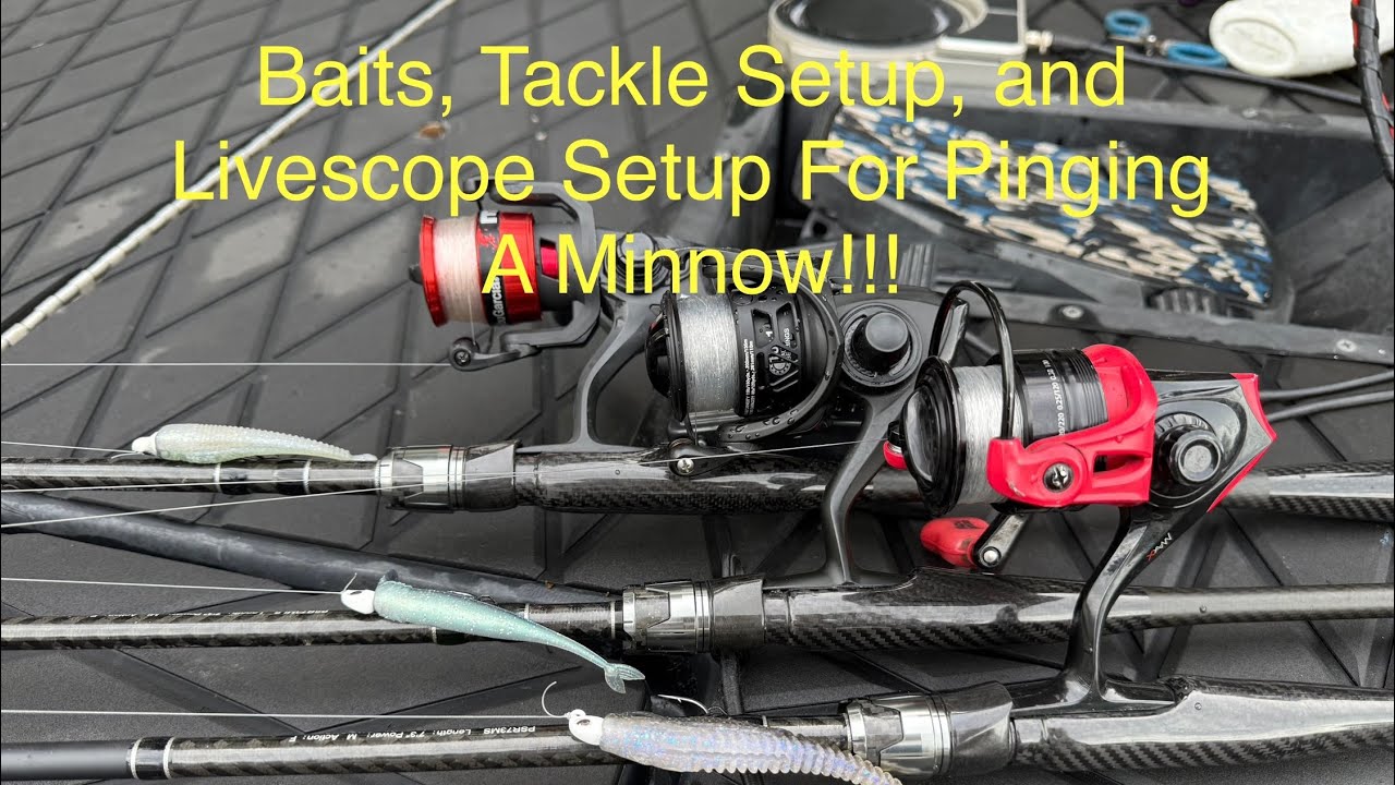 My Complete Guide To Pinging A Minnow: Baits, Tackle, Livescope Settings