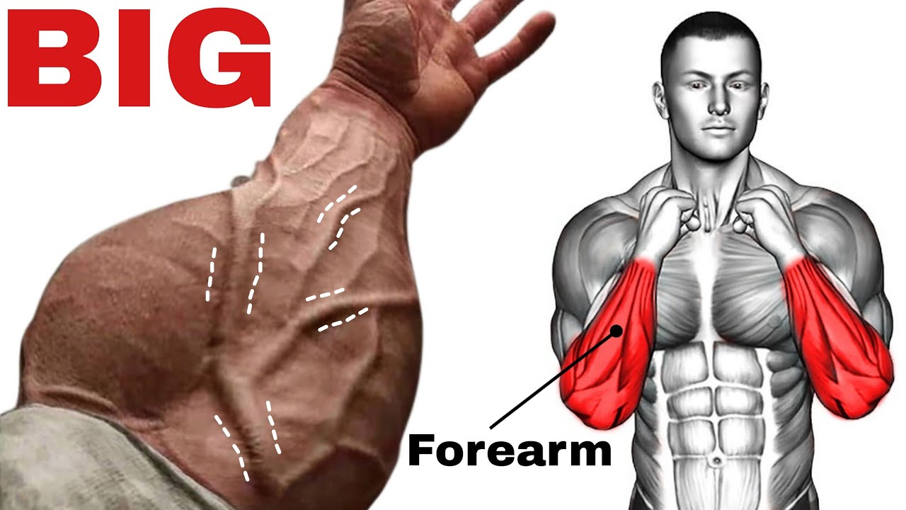Top 7 Best Forearm Exercises to Make Big Forearms 