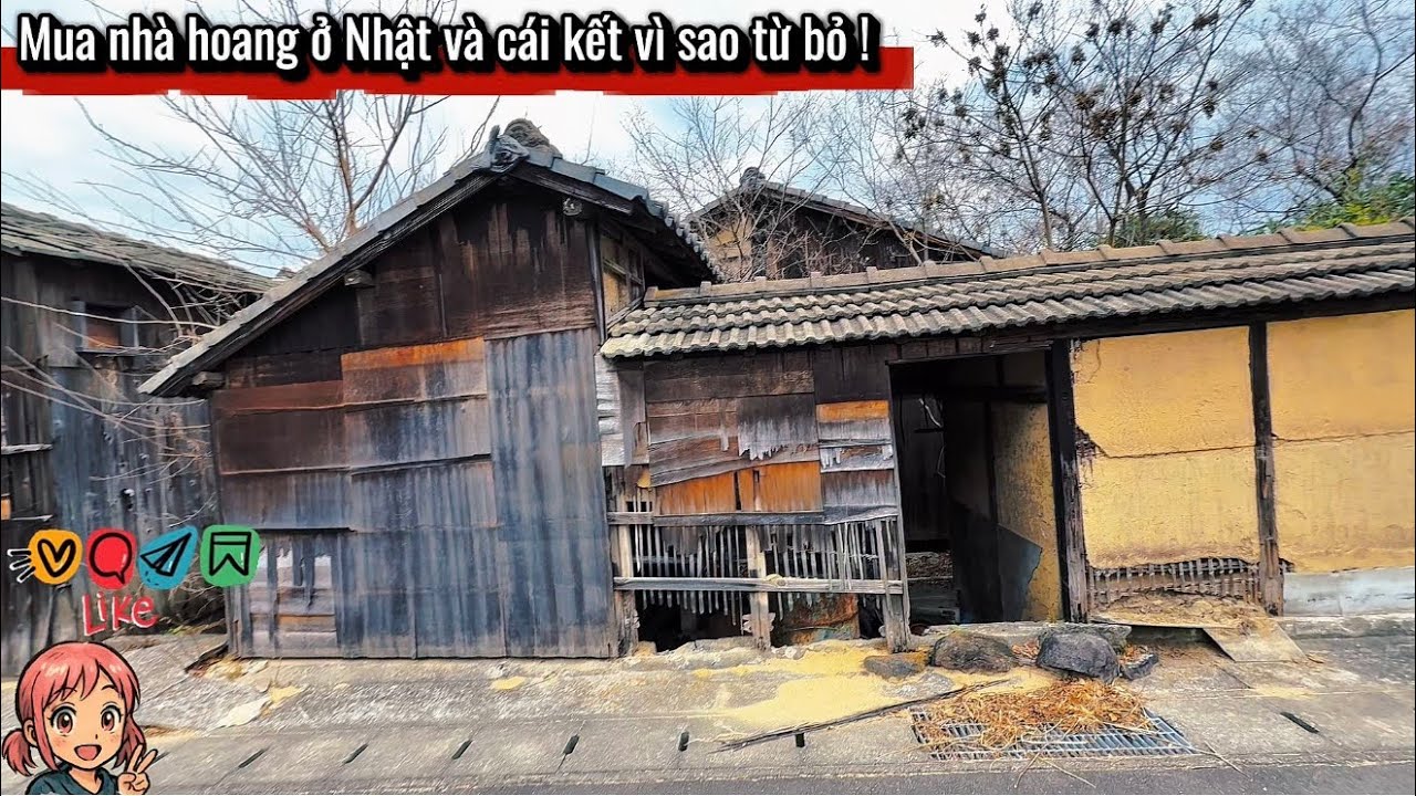 Mua nhà hoang ở Nhật và lý do mình từ bỏ‼️