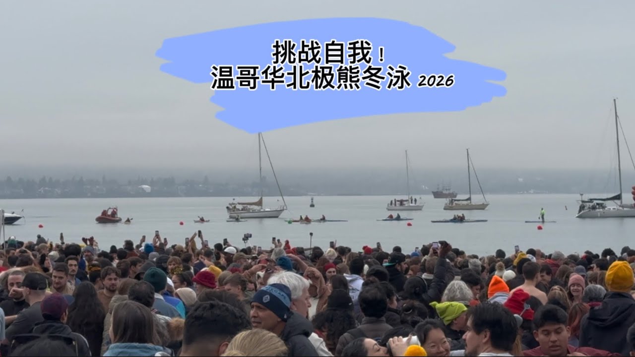 挑战自我！温哥华北极熊冬泳（
